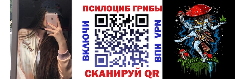 продажа наркотиков  Вышний Волочёк  Галлюциногенные грибы Psilocybine cubensis 